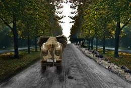 Elephantinhighway